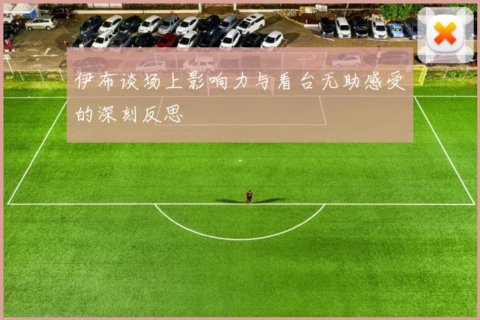 伊布谈场上影响力与看台无助感受的深刻反思