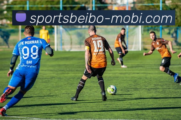 贝博体育APP 封面图